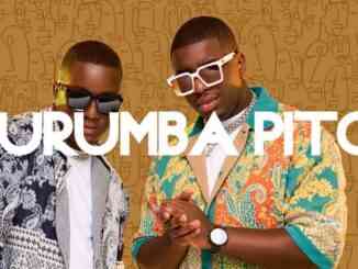 Video: Murumba Pitch & Omit ST – Wena Dali Ft. Soa Matrix, Dinky Kunene & Buhle Sax