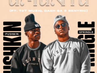 Pushkin & Springle – Umuntu ft. Dash SA, T&T Musiq & Benyric