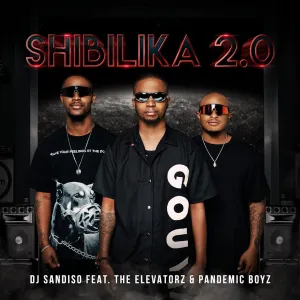DJ Sandiso – shibilika 2.0 (feat. Pandemic boyz & The Elevatorz)