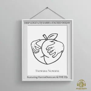 Drip Gogo, DJ Karri & Exceed DeeJay – Tshwara Ngwana (feat. HarrisDontcare & FME DJs)