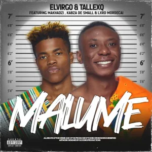 Elvirgo, TallexQ & Chicco – Malume 2.0 (feat. Makhadzi, Kabza De Small & Lxrd Mordecai)
