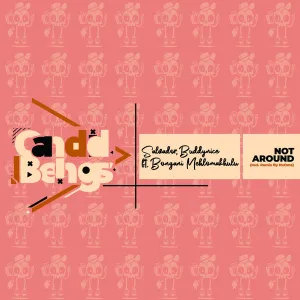 Salvador, Buddynice, Bongani Mehlomakhulu – Not Around (Incl.Remix By NxOmS)