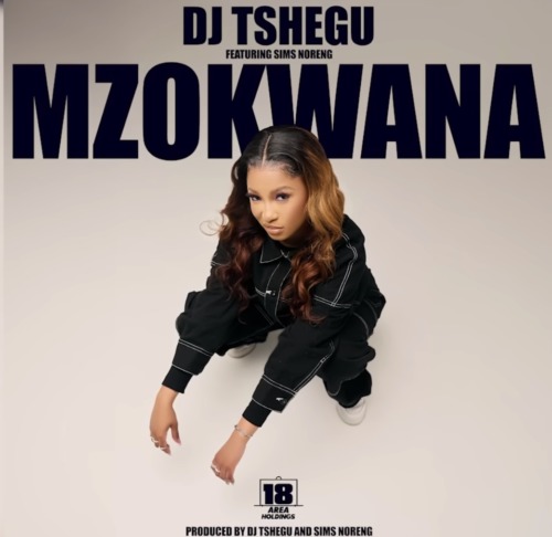 DJ Tshegu – Mzokwana ft. Sims Noreng