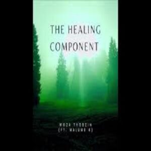 Woza Thobzin – The Healing Component ft. Malume K