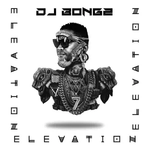 DJ Bongz, Mondli Ngcobo, Skywanda & Skills – It's Over Boy