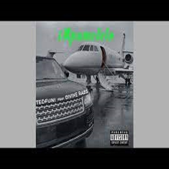 Tedfuni - Impumelelo ft. Divine Rabs