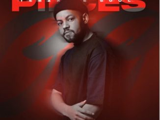 Tebza De SouL - Pieces