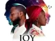 Angélique Kidjo - Joy ft. Davido
