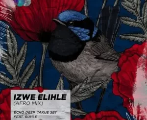 Echo Deep - Izwe Elihle (Afro Mix) ft. Takue SBT & Buhle