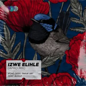 Echo Deep - Izwe Elihle (Afro Mix) ft. Takue SBT & Buhle