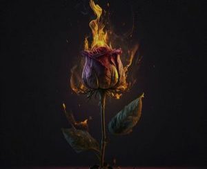 Entity MusiQ & Dollar - Impilo Yase Kasi