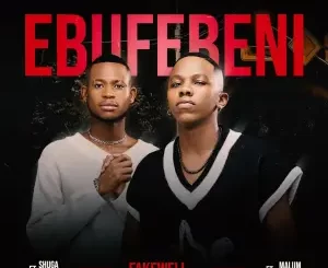 Fake'well - Ebufebeni ft. Malume.hypeman & Shuga Mizer
