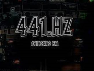 Hotfurze - 441 Hz (Sgidongo)