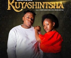 Mickeyblack - Kuyashintsha ft. Fortunator & DJ Gun-Do SA