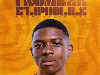 Ndoose SA - i'Number e'LiPholile Vol. 10 (100% Production Mix)