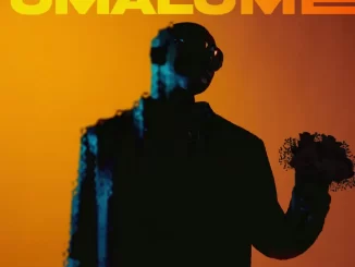 Pushkin RSA - Omalume ft. Sykes, Dash SA, Springle, Supremme & T&TMusiq