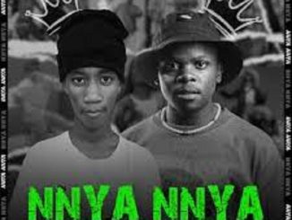 Steena & Yung Silly Coon - Nnya Nnya