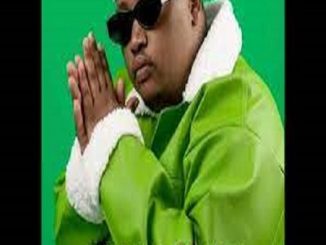 TshepisoDaDj & Steamz Beatz - Tribute To Malume Vector ft. Teekay