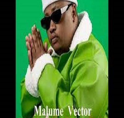 TshepisoDaDj & Steamz Beatz - Tribute To Malume Vector ft. Teekay