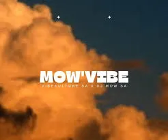 Vibekulture SA - Funky Guitar ft. Djy Mow SA