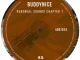 Buddynice - Redemial Sounds Chapter 1 (August 2024)