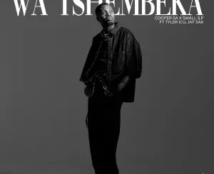 Cooper SA & Small S.P - Wa Tshembeka ft. Tyler ICU & Jay Sax