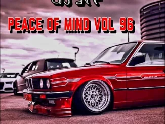 DJ Ace - Peace of Mind Vol 96 (Slow Jam Mix)