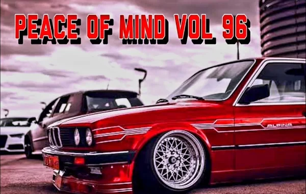 DJ Ace - Peace of Mind Vol 96 (Slow Jam Mix)