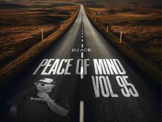 DJ Ace - Peace of Mind Vol 95 (AMA45 Mix)