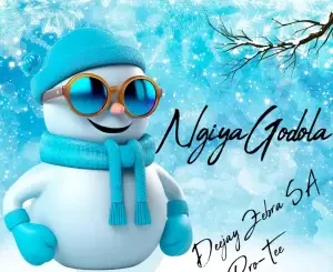 Deejay Zebra SA & Pro-Tee - Ngiya Godola
