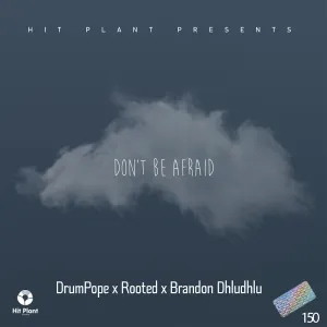 DrumPope, Rooted & Brandon Dhludhlu - Don't Be Afraid