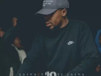 Fanarito - Jaiva Tsotsi Jaiva skelem Vol 19 Mix