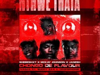 Shebeshxt - Ke Nthwe Thata ft. Chongo De Flavour, Mckay Johnson, Janesh, Buddy Sax & Dropsphonik