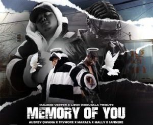 Malome Vector & Lizwi Wokuqala - Memory Of You ft. Aubrey Qwana, Trymore, Maraza, SANNERE & Mally