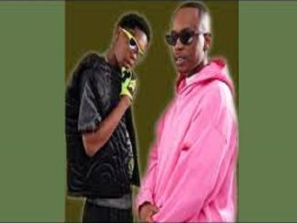 Mellow & Sleazy, MrNationThingz - Mzokwana ft. M.J