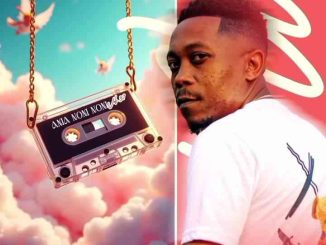 Msaro - Musical Exclusiv #AmaNomNom Vol.37
