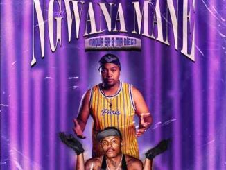 Shebeshxt - Ngwana Mane ft. Mckay Johnson, Naqua SA & Mr Diego