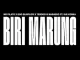 Tebogo G Mashego & Mr Pillato - Biri Marung ft. DJ Maphorisa