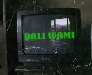 Teemza - Dali Wami ft. Mpho Spizzy