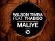 Wilson Timba & Thabiso Vocalist - Maliye