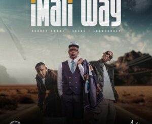 Aubrey Qwana, EeQue & LeeMcKrazy - Imali Way ft. Mawelele & Makhosi