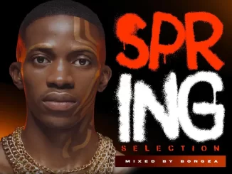 Bongza - Spring Selection Mix