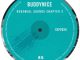Buddynice - Redemial Sounds Chapter 2 (September 2024)