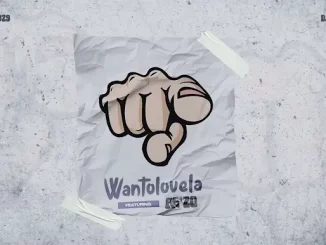 Busta 929 & Djy Vino - Wantolovela ft. Ag'zo
