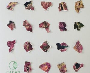 Eli Fola, Cornelius SA & Idd Aziz - Changu