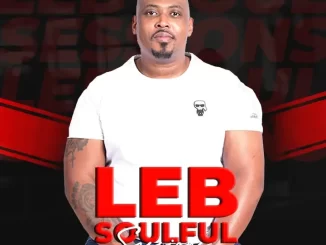 Lebtronik SA - LSS Vol.22 (Trip To L'amour Gardens Mmadinare)