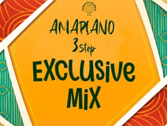 Omit ST – Amapiano 3Step Exclusive Mix