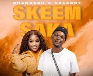 Shandesh & NaleBoy Young King - Skeem Saka ft. Hitler SA