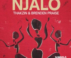 Thakzin & Brenden Praise - Njalo