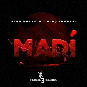 Aero Manyelo & Blaq Samurai - Madi